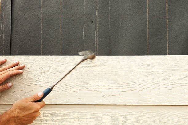 Best Custom Siding Design  in Lam, AR